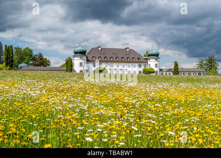 Wildflower meadow im Schlosspark Hoehenried in der Nähe von Bernried am Starnberger See, Bayern, Oberbayern, Deutschland Stockfoto