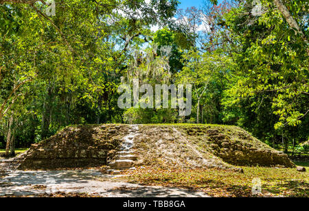 Alten Maya Ruinen von Tikal in Guatemala. Stockfoto
