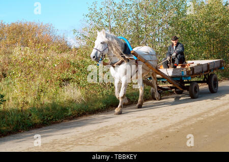 Bauer auf einem Pferdewagen, schöne weiße Pferd mit Wagen auf der Straße, der Region Kaliningrad, Russland, 21. Oktober, 2019 Stockfoto