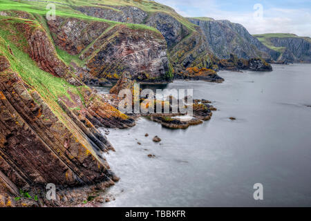 St Abbs, Berwickshire, Schottland, Großbritannien, Europa Stockfoto