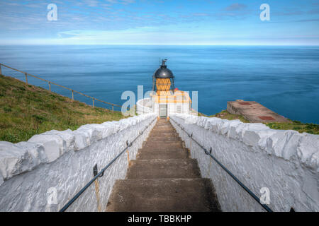 St Abbs, Berwickshire, Schottland, Großbritannien, Europa Stockfoto