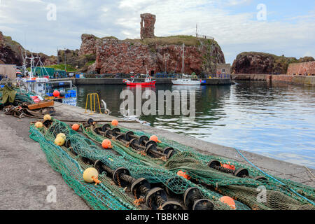 Dunbar, East Lothian, Schottland, Großbritannien, Europa Stockfoto