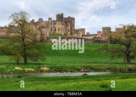 Alnwick Castle, Northumberland, Großbritannien, Europa Stockfoto