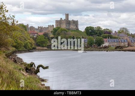 Warkworth Castle, Northumberland, Großbritannien, Europa Stockfoto