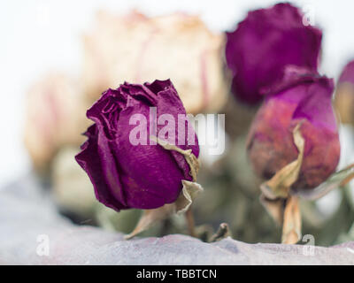 Schöne getrocknete Rosen in einer handgefertigten Topf close-up, geringe Tiefenschärfe. Handgefertigte Dekorationen Konzept. Stockfoto