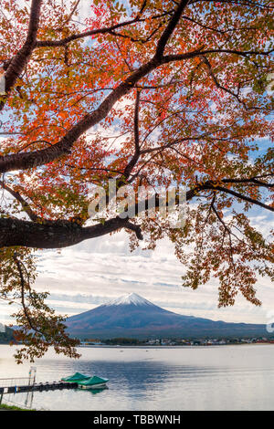Mount Fuji und See Kawaguchiko im Herbst Blätter Stockfoto