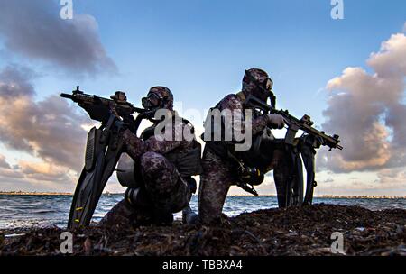 U.S. Navy SEALs, Naval Special Warfare Group 2 zugewiesen, führt die Tauchbasis Übungen in Full combat Gear 29. Mai 2019 in der Nähe von Little River, Virginia. Dichtungen sind die maritime Komponente der US Special Forces und die darin geschult sind, eine Vielzahl von Operationen aus dem Meer, Luft und Land zu führen. Stockfoto