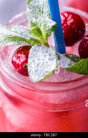 Iced hausgemachte Limonade mit Preiselbeeren, Zitrusfrüchte und frischer Minze Blatt in einem Cocktail Glas mit Strohhalm Stockfoto