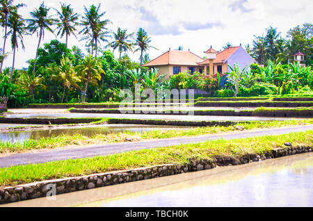 UBUD, BALI, Indonesien - Februar Circa, 2019. Terrasse von Reisfeldern in Tegallalang, Greta. Mit Bauernhof und traditionelles Haus Stockfoto