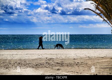 Santa Pola, Alicante, Spanien - Mai 2, 2019: Junge Frauen wandern durch das Ufer mit dem Hund in einen sonnigen Tag des Frühlings in Santa Pola, Alicante. Stockfoto