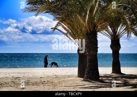 Santa Pola, Alicante, Spanien - Mai 2, 2019: Junge Frauen wandern durch das Ufer mit dem Hund in einen sonnigen Tag des Frühlings in Santa Pola, Alicante. Stockfoto