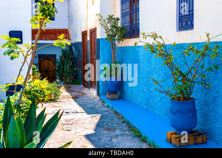 Blaue und weiße Straße in der Kasbah des Oudaias in Rabat, Marokko, Afrika Stockfoto