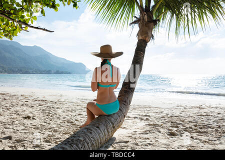 Rückansicht eines Frau in Blau Bikini Sitzen auf Palm Tree Trunk am Strand Stockfoto