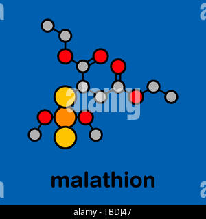 Malathion Insektizid Molekül. Verwendet Kopfläuse zu behandeln, Körper Läuse, Krätze und in der Landwirtschaft. Stilisierte Skelett Formel (die chemische Struktur). Atome sind als farbkodierte Kreise mit dicken schwarzen gezeigt Umrisse und Anleihen: Wasserstoff (versteckt), Kohlenstoff (grau), Sauerstoff (rot), Schwefel (Gelb), Phosphor (orange). Stockfoto