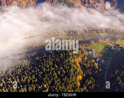 Luftaufnahme von Herbst Karpaten, Wald und Fluss, Wiesen und Hügel, morgen Zeit. In der Ukraine. Stockfoto