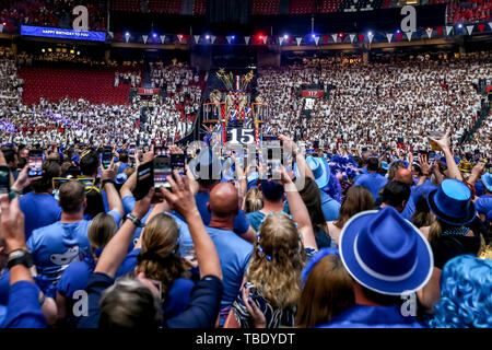 Amsterdam, Niederlande. 31. Mai, 2019. AMSTERDAM, 31-05-2019, Johan Cruijff ArenA, Unterhaltung, Toppers in Concert 2019 Happy Birthday Party. Credit: Pro Schüsse/Alamy leben Nachrichten Stockfoto