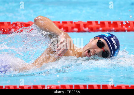 Tokio, Japan. 31. Mai, 2019. Shogo Takeda Schwimmen: Japan Open 2019 Männer 1500 m Freistil Finale bei Tatsumi International Swimming Center in Tokio, Japan. Credit: Naoki Nishimura/LBA SPORT/Alamy leben Nachrichten Stockfoto