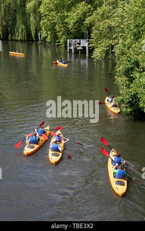 Berlin, Deutschland. 01 Juni, 2019. Touristen können mehrere Paddel Kajaks auf dem Landwehrkanal. Credit: Paul Zinken/dpa/Alamy leben Nachrichten Stockfoto