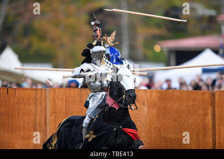 Baw Baw, Victoria, Australien. 01 Juni, 2019. ; Medieval Jousting Weltmeisterschaften; Wouter Nicolai der Niederlande ist während der World Jousting Meisterschaft Credit: Aktion Plus Sport Bilder/Alamy Live News hit Stockfoto