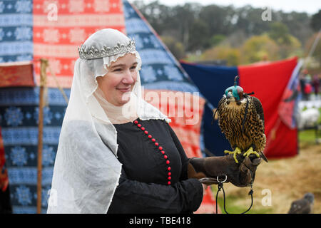 Baw Baw, Victoria, Australien. 01 Juni, 2019. ; Medieval Jousting Weltmeisterschaften; Greifvögel auf Zeigen den ganzen Tag über wurden: Aktion Plus Sport Bilder/Alamy leben Nachrichten Stockfoto