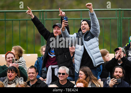 Baw Baw, Victoria, Australien. 01 Juni, 2019. ; Medieval Jousting Weltmeisterschaften; Fans reagieren auf jousters Betreten der Arena Credit: Aktion Plus Sport Bilder/Alamy leben Nachrichten Stockfoto