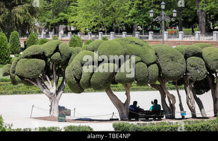 Madrid, Spanien. 01 Juni, 2019. Fussball: Champions League, bevor der endgültige, FC Liverpool - Tottenham Hotspur. Touristen Pause im Schatten der speziell geschnitten Pinien in Buen Retiro Park. Kredite: Jan Woitas/dpa-Zentralbild/dpa/Alamy leben Nachrichten Stockfoto