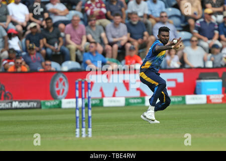 Cardiff, Wales, UK. 1. Juni 2019, Sophia Gardens Cardiff, Cardiff, Wales; ICC World Cup Cricket Test Match, Neuseeland gegen Sri Lanka; Isuru Udhana legt den Ball an die Stümpfe zu werfen Stockfoto