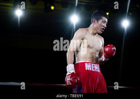 Macao. 1. Juni 2019. Meng Fanlong von China feiert nach dem Sieg über Adam Deines Deutschlands in den IBF-Titel im Halbschwergewicht Eliminator/IBF Intercontinental Light Heavyweight Titel match bei der Verteidigung 2019 IBF-Meisterschaft Super Gala in Macau, China am 1. Juni 2019. Credit: Cheong kam Ka/Xinhua/Alamy leben Nachrichten Stockfoto