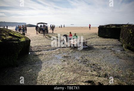 Frankreich. 01. Juni 2019, France (Frankreich), Arromanches-Les-Bains: ein Jeep fuhr in den Schlamm an Gold Strand zwischen den Resten der ehemaligen Hafen. Nach der Landung der alliierten Truppen im Zweiten Weltkrieg, einer der zwei künstliche Häfen (Mulberry B) gebaut wurde an der Küste von Arromanches-les-Bains, durch die Truppen und liefert an Land gebracht wurden. 06.06.2019 ist der 75. Jahrestag der Landung der alliierten Truppen in der Normandie (D-Day). Foto: Kay Nietfeld/dpa Stockfoto