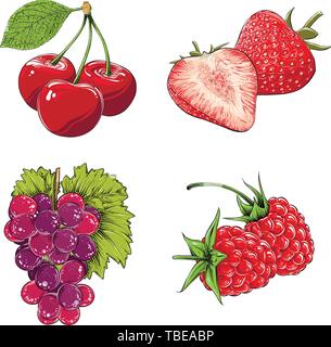 Satz von Beeren in Farbe. Auf weissem Hintergrund. Hand gezeichnete Elemente wie Traube, Kirsche, Erdbeere und Himbeere. Vector Illustration Stock Vektor