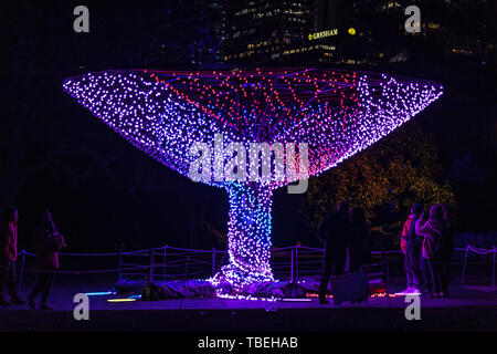 Licht Exponate während der Lebendige im Sydney Botanic Gardens in der Nacht. Stockfoto