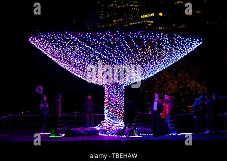 Licht Exponate während der Lebendige im Sydney Botanic Gardens in der Nacht. Stockfoto