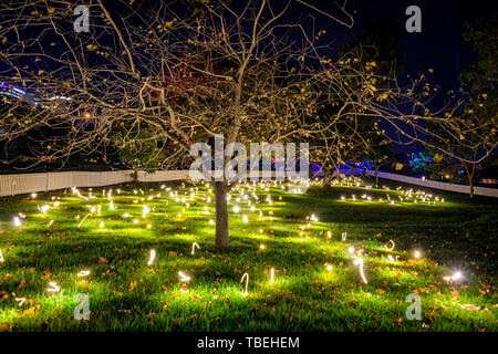 Licht Exponate während der Lebendige im Sydney Botanic Gardens in der Nacht. Stockfoto