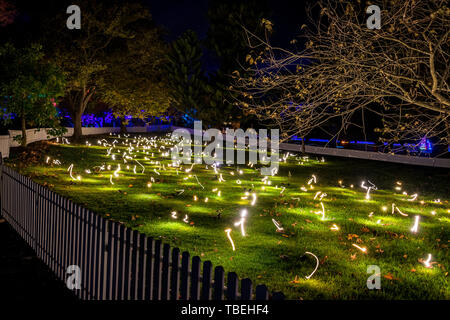 Licht Exponate während der Lebendige im Sydney Botanic Gardens in der Nacht. Stockfoto