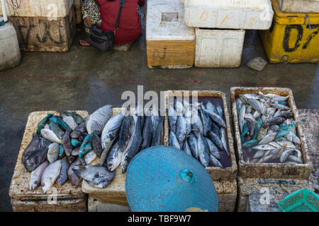Ein Fisch Verkäufer in der Jimbaran Bali Fischmarkt. Er verkauft verschiedene Arten von frischem Fisch, der gerade gefangen wurden. Stockfoto