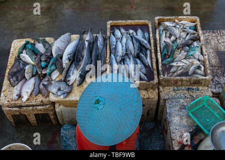 Ein Fisch Verkäufer in der Jimbaran Bali Fischmarkt. Er verkauft verschiedene Arten von frischem Fisch, der gerade gefangen wurden. Stockfoto