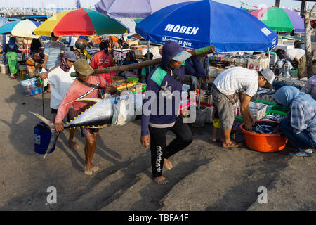 BALI/INDONESIEN - 15. MAI 2019: die Atmosphäre des Kedonganan-Bali Fischmarkt mit bunten Sonnenschirmen an jedem Kiosk. Einige Fischer go home von fishi Stockfoto