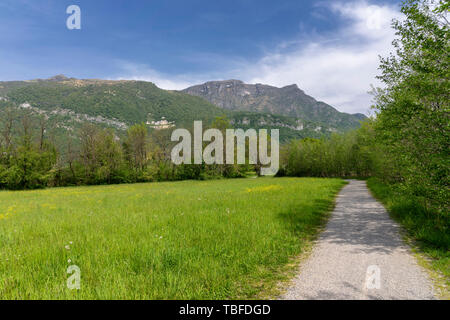 Cycleway im Park der See von Annone, Lecco, Lombardei, Italien, im Frühjahr (April) Stockfoto