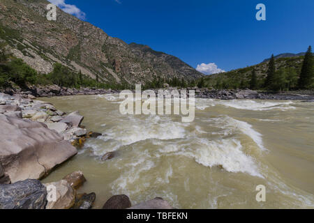 Schnelle aktuelle Der chuya Fluss in den Bergen Altai. Sommer. An der felsigen Küste. Stockfoto