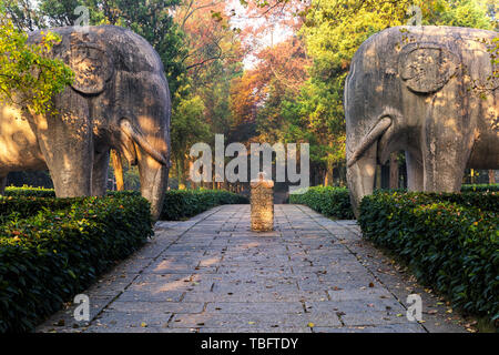 Ming Xiaoling - Stein Elefant Stockfoto