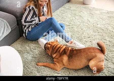 Lustig Hund mit dem Besitzer zu Hause Cute Stockfoto