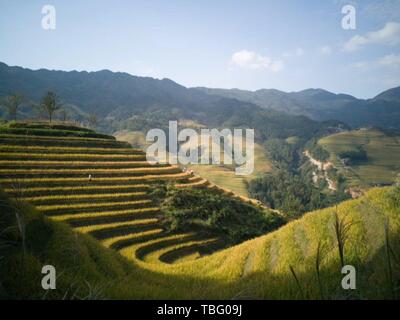 Guilin Dragon Ridge terrasse Landschaft Stockfoto