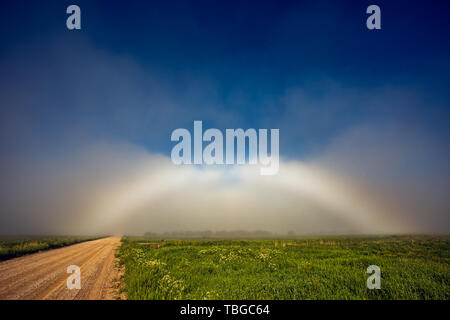 Seltene weiße Rainbow Fogbow in der Nähe des Pfades Stockfoto