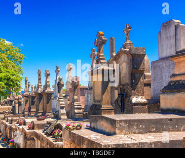 Katholischen Friedhof in Carcassonne Stockfoto