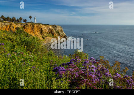 Point Vicente Leuchtturm auf der hohen Klippe mit schönen Wildblumen bedeckt während der Kalifornien Super Bloom von 2019, Rancho Palos Verdes, Califor Stockfoto