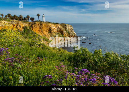 Point Vicente Leuchtturm auf der hohen Klippe mit schönen Wildblumen bedeckt während der Kalifornien Super Bloom von 2019, Rancho Palos Verdes, Califor Stockfoto