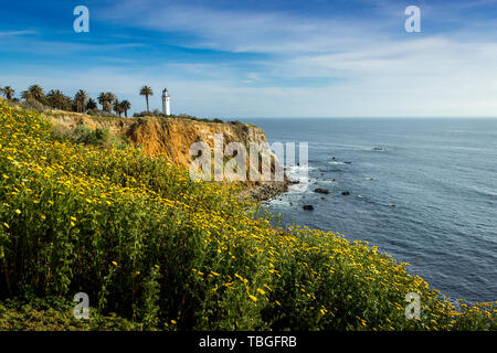 Point Vicente Leuchtturm auf der hohen Klippe mit schönen Wildblumen bedeckt während der Kalifornien Super Bloom von 2019, Rancho Palos Verdes, Califor Stockfoto