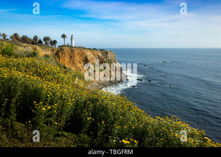 Point Vicente Leuchtturm auf der hohen Klippe mit schönen Wildblumen bedeckt während der Kalifornien Super Bloom von 2019, Rancho Palos Verdes, Califor Stockfoto