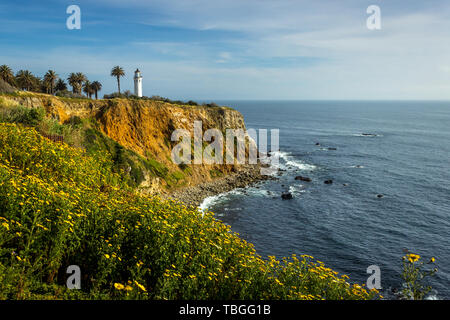 Point Vicente Leuchtturm auf der hohen Klippe mit schönen Wildblumen bedeckt während der Kalifornien Super Bloom von 2019, Rancho Palos Verdes, Califor Stockfoto