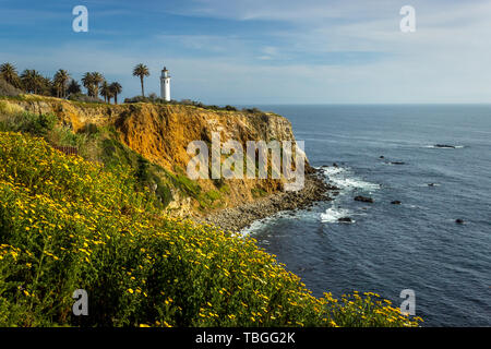 Point Vicente Leuchtturm auf der hohen Klippe mit schönen Wildblumen bedeckt während der Kalifornien Super Bloom von 2019, Rancho Palos Verdes, Califor Stockfoto